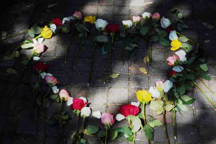 Rosas colocadas en el suelo formando la figura de un corazón.